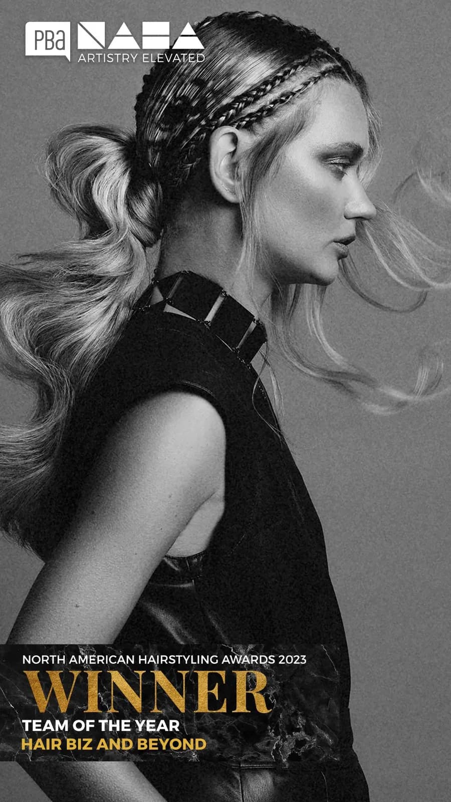 NAHA 2023 Team of the Year winner announcement for Hair Biz and Beyond